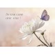 Carte Avec Message Fleurs de lys posées sur du marbre blanc