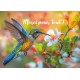 Carte Avec Message Colibri butinant une fleur blanche