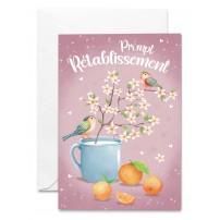 Carnet Branche d'orange dans une tasse, oiseaux et oranges