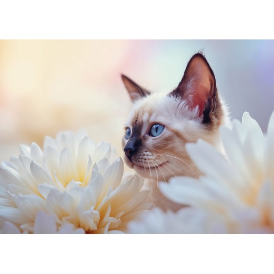 Carte Sans Texte Chaton couch&eacute; dans des fleurs blanches