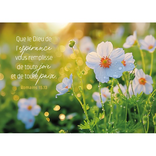 Carte Avec Verset Fleurs blanches dans un pr&eacute;