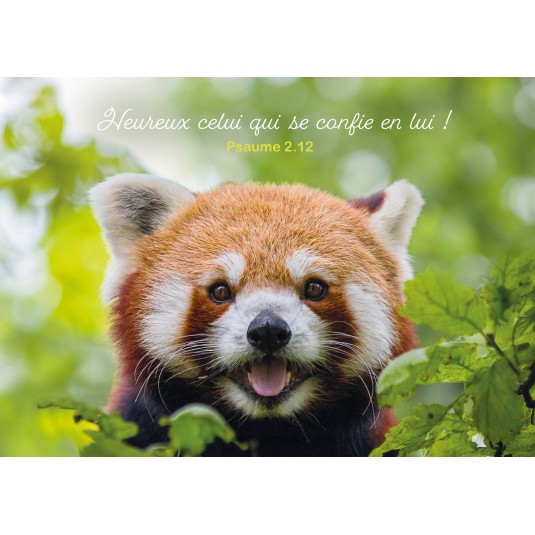 Carte Avec Verset Panda roux dans un arbre