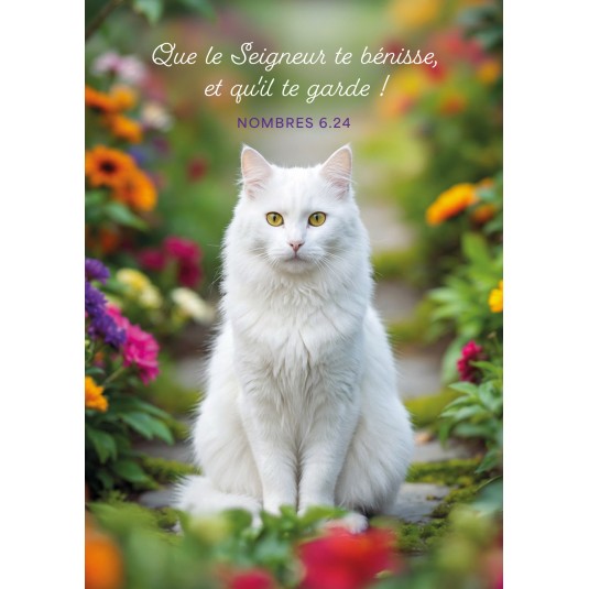 Carte Avec Verset Chat blanc dans une all&eacute;e bord&eacute;e de fleurs