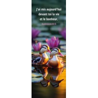 Signet Canards au milieu des n&eacute;nuphards