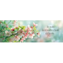 Signet Branche d'arbre en fleur sur fond flou