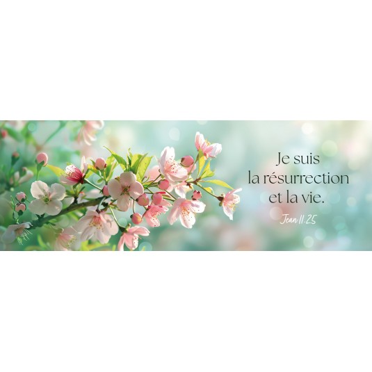 Signet Branche d'arbre en fleur sur fond flou