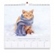 CAL. GBK 2027  Nos amis les chats GF