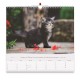 CAL. GBK 2027  Nos amis les chats GF
