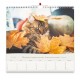 CAL. GBK 2027  Nos amis les chats GF