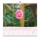 CAL. GBK 2027 Roses Grand format
