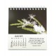CAL. 2027 Nature en paix