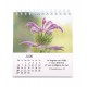 CAL. 2027 Nature en paix