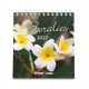 CAL. 2027 Floralies