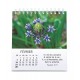 CAL. 2027 Floralies