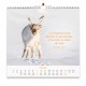 CAL. 2027 Nos amis les animaux