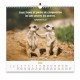 CAL. 2027 Nos amis les animaux