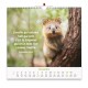 CAL. 2027 Nos amis les animaux