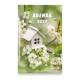 CAL. 2027 Agenda International