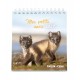 CAL. 2027 Petits amis avec versets bibliques
