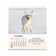 CAL. 2027 Petits amis avec versets bibliques