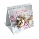 CAL. GBK 2027 Nos amis les chats PF