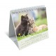 CAL. GBK 2027 Nos amis les chats PF