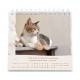 CAL. GBK 2027 Nos amis les chats PF