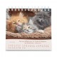 CAL. GBK 2027 Nos amis les chats PF