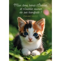 Mini Carte Chaton dans l'herbe