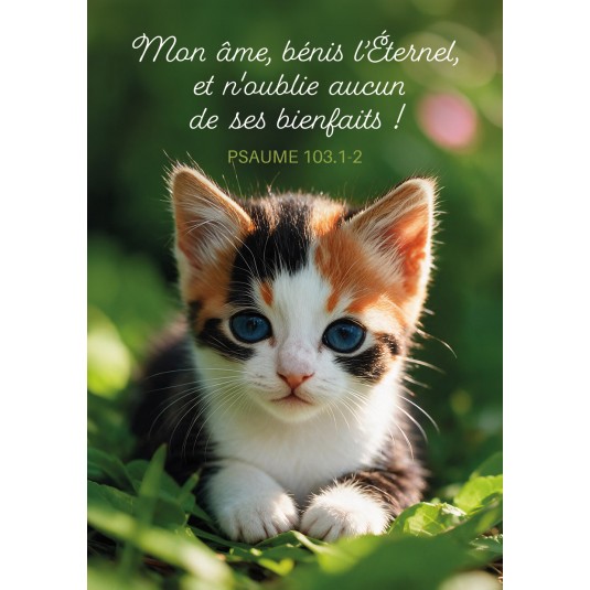 Mini Carte Chaton dans l'herbe