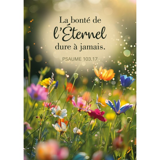 Mini Carte Fleurs dans un champ