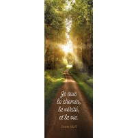 Signet Chemin dans les bois