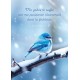 Carte Avec Verset Oiseau bleu sur branche givrée
