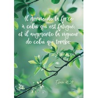 Carte Avec Verset Branche d'arbre sur fond vert