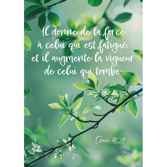Carte Avec Verset Branche d'arbre sur fond vert