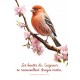 Carte Avec Verset Oiseau posé sur une branche en fleur