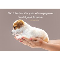 Carte Avec Verset Chiot tenu dans les mains