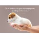 Carte Avec Verset Chiot tenu dans les mains
