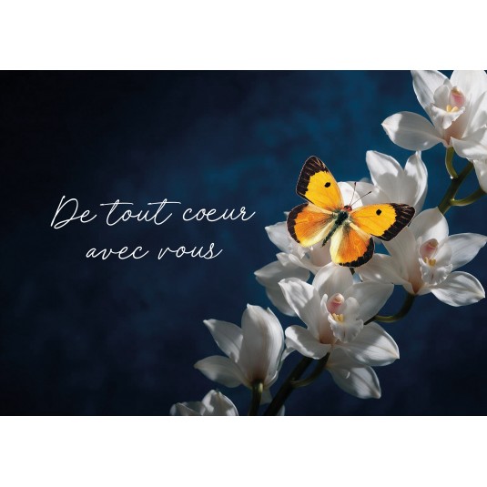 Carte Avec Message Papillon sur une branche de fleurs blanches