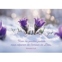Carte Fin D'ann&eacute;e Petites fleurs de printemps dans la neige