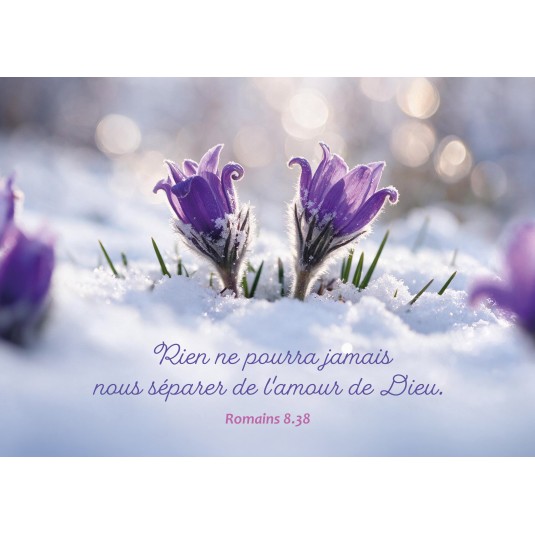 Carte Fin D'ann&eacute;e Petites fleurs de printemps dans la neige