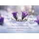 Carte Fin D'année Petites fleurs de printemps dans la neige