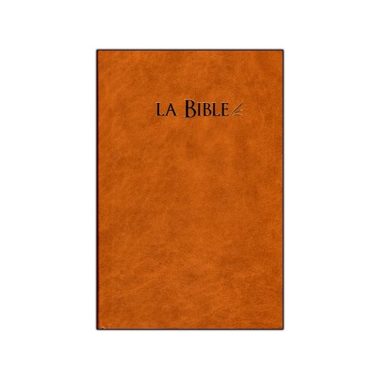Bible Segond 21 rigide brun