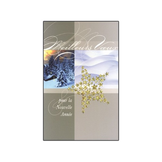 CARTE DOUBLE Meilleurs V&oelig;ux Chalet et sapins sous la neige
