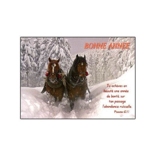 Carte Fin D'année Attelage chevaux dans neige (BA)
