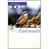Cartes doubles anniversaire