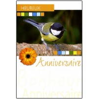 Cartes doubles anniversaire