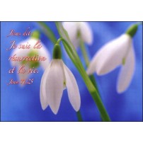 Cartes Postales Texte biblique