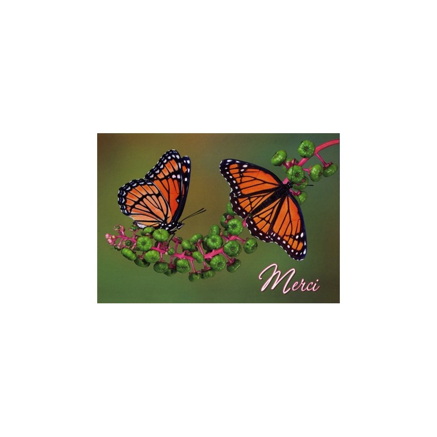 Carte Avec Message Papillons (Merci)