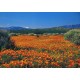 cartes postales sans Textes